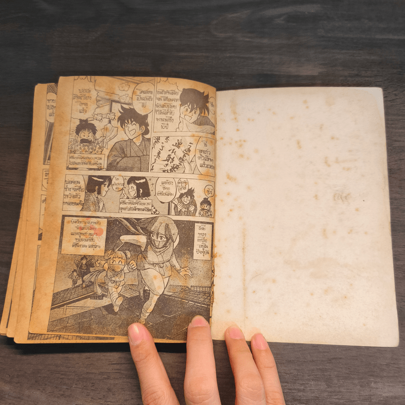 มือปราบจอมทะเล้น