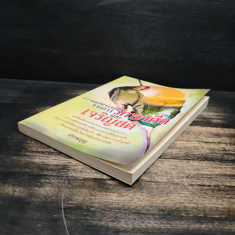 ความมหัศจรรย์จากการรักษาศีลและเจริญสติ - ปรานบุญ