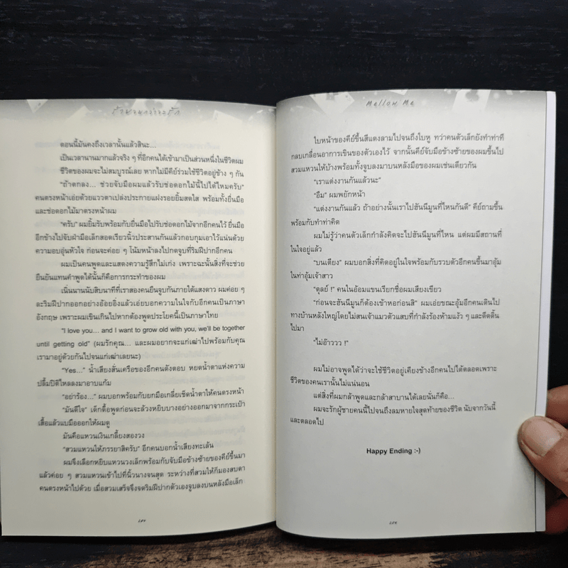 นิยายวาย ร้ายจนกว่าจะรัก - ตุลย์คีย์