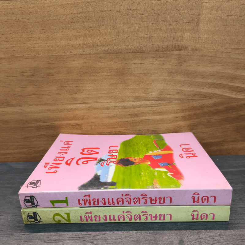 เพียงแค่จิตริษยา 2 เล่มจบ - นิดา