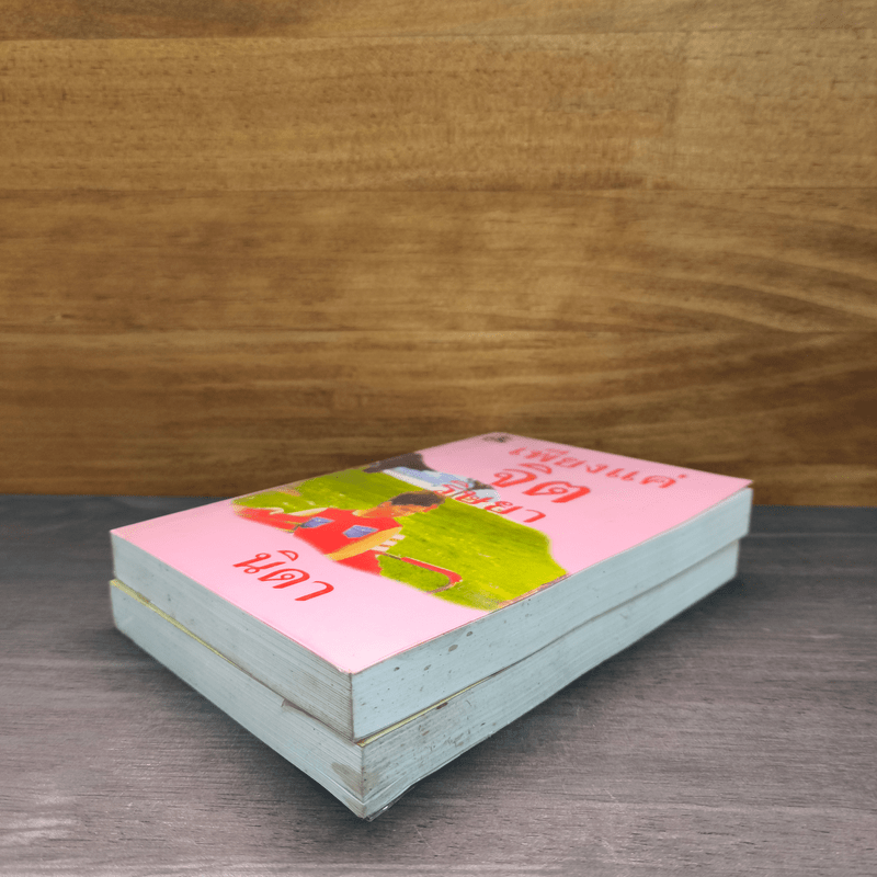 เพียงแค่จิตริษยา 2 เล่มจบ - นิดา