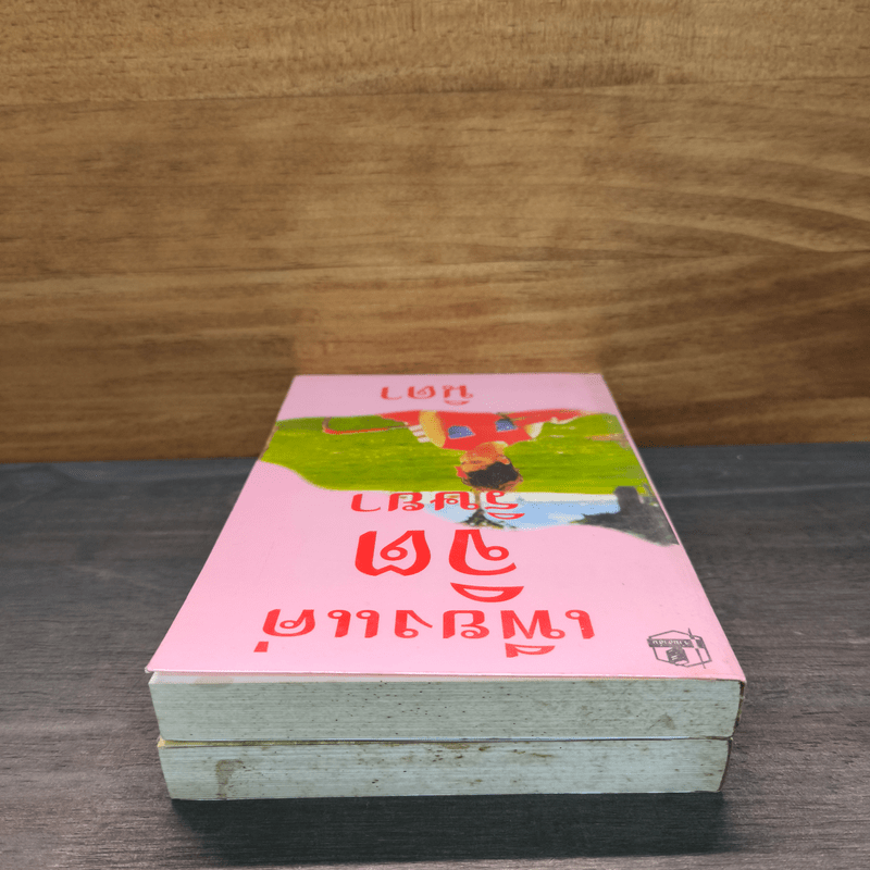 เพียงแค่จิตริษยา 2 เล่มจบ - นิดา