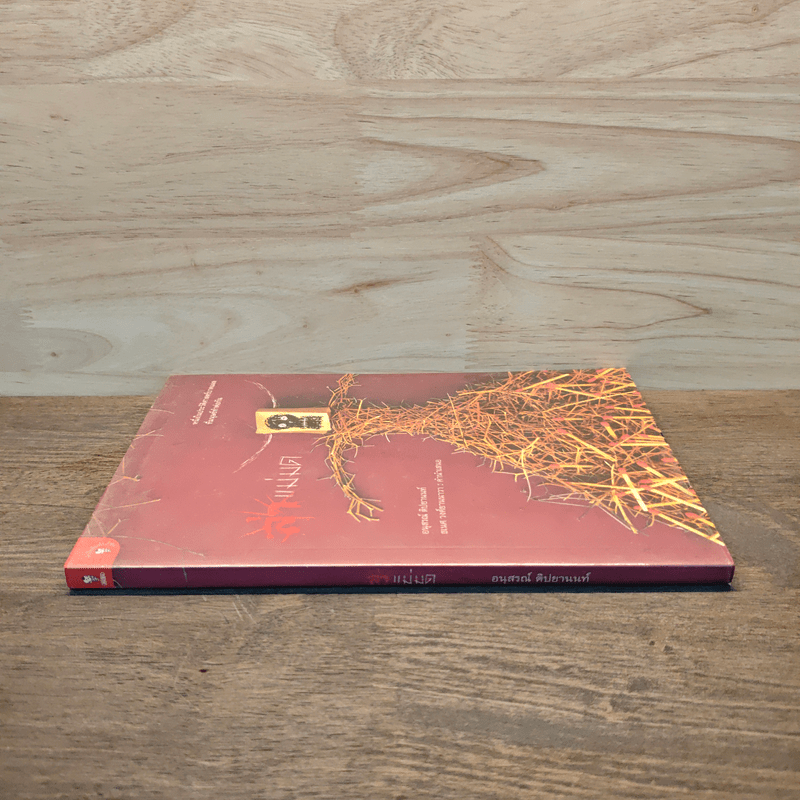 ล่าแม่มด - อนุสรณ์ ติปยานนท์