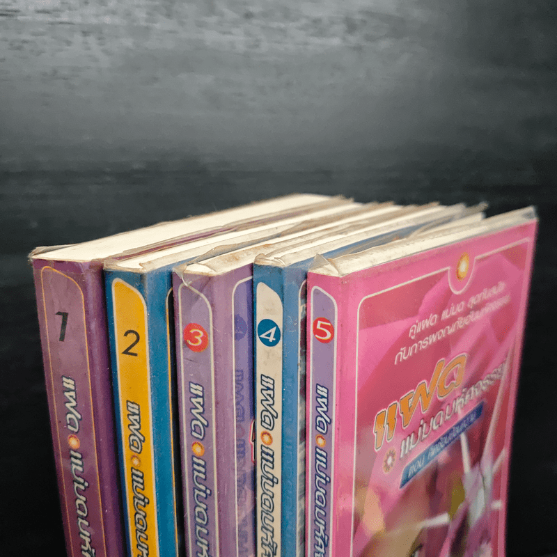 แฝด แม่มดมหัศจรรย์ 5 เล่มจบ - T.witches