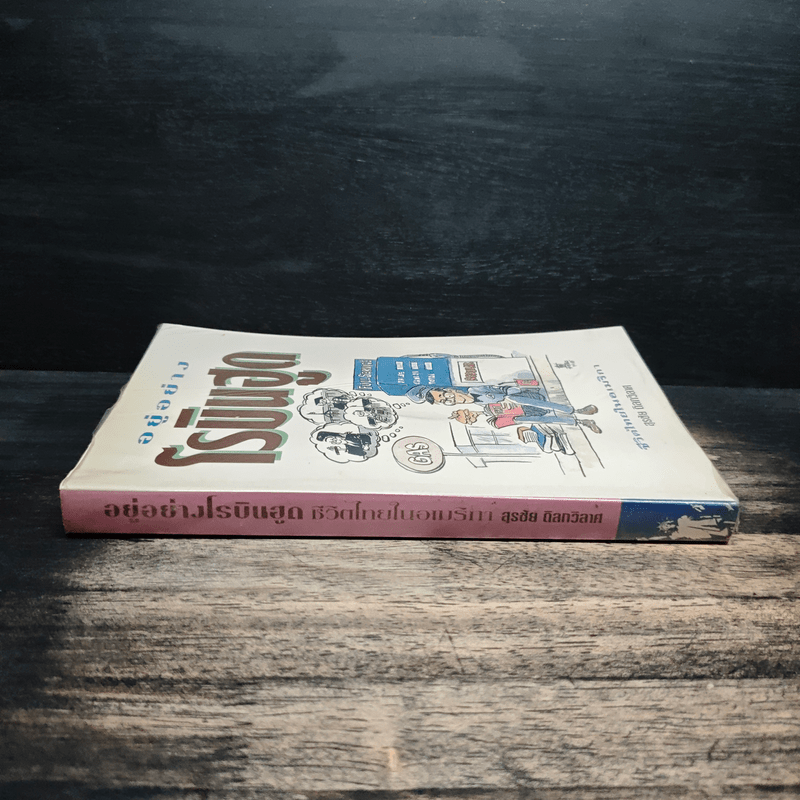 อยู่อย่างโรบินฮูด ชีวิตไทยในอเมริกา - สุรชัย ดิลกวิลาศ