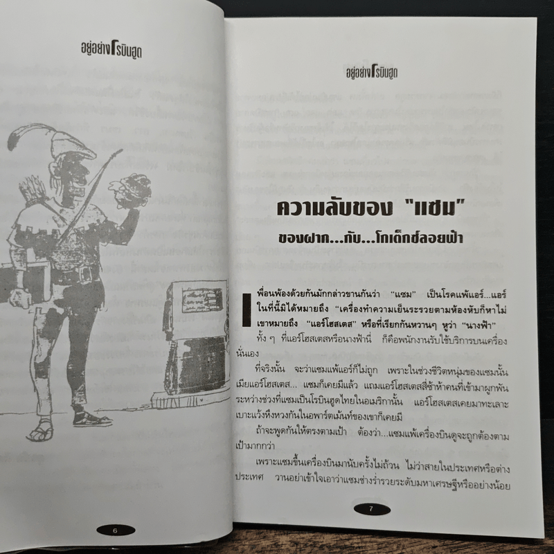 อยู่อย่างโรบินฮูด ชีวิตไทยในอเมริกา - สุรชัย ดิลกวิลาศ