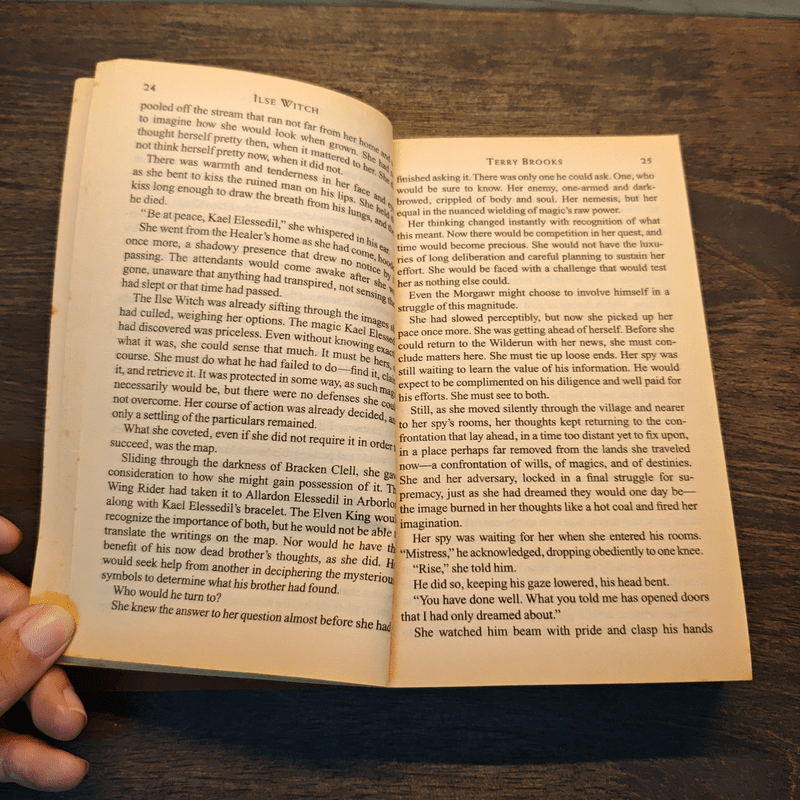 The Voyage of the Jerle Shannara : Ilse Witch - Terry Brooks