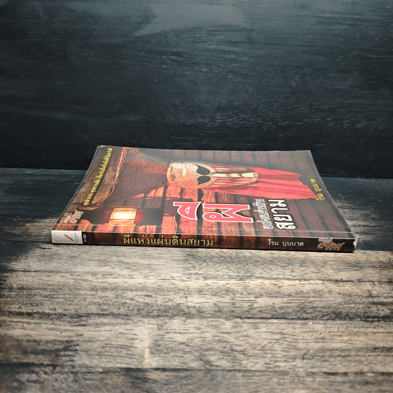 ผีแห่งแผ่นดินสยาม - โรม บุนนาค