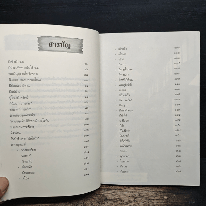 ผีแห่งแผ่นดินสยาม - โรม บุนนาค