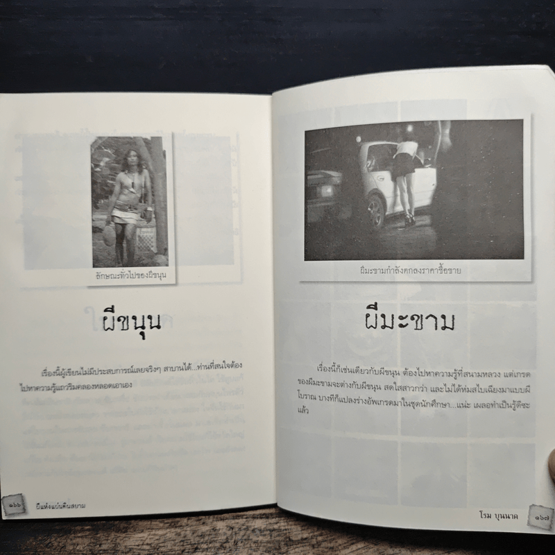 ผีแห่งแผ่นดินสยาม - โรม บุนนาค