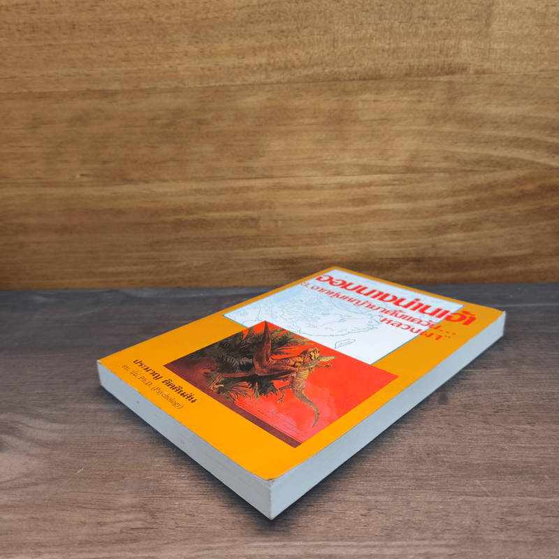 จอมนางน่านเจ้า 3.จากทุ่งหญ้ามาตั้งแควัน "หลวงผา" - ประมวญ ดิคคินสัน