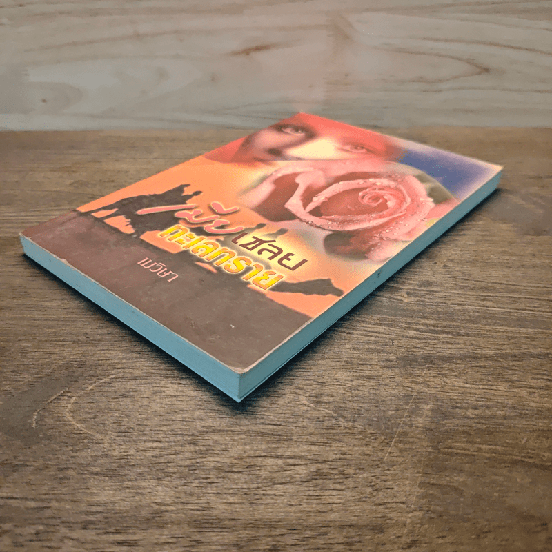 เมียเชลยทะเลทราย - เมวิษา