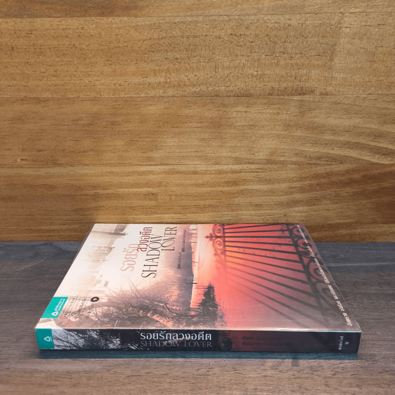 SHADOW LOVER รอยรักลวงอดีต - แอนน์ สจ๊วร์ต