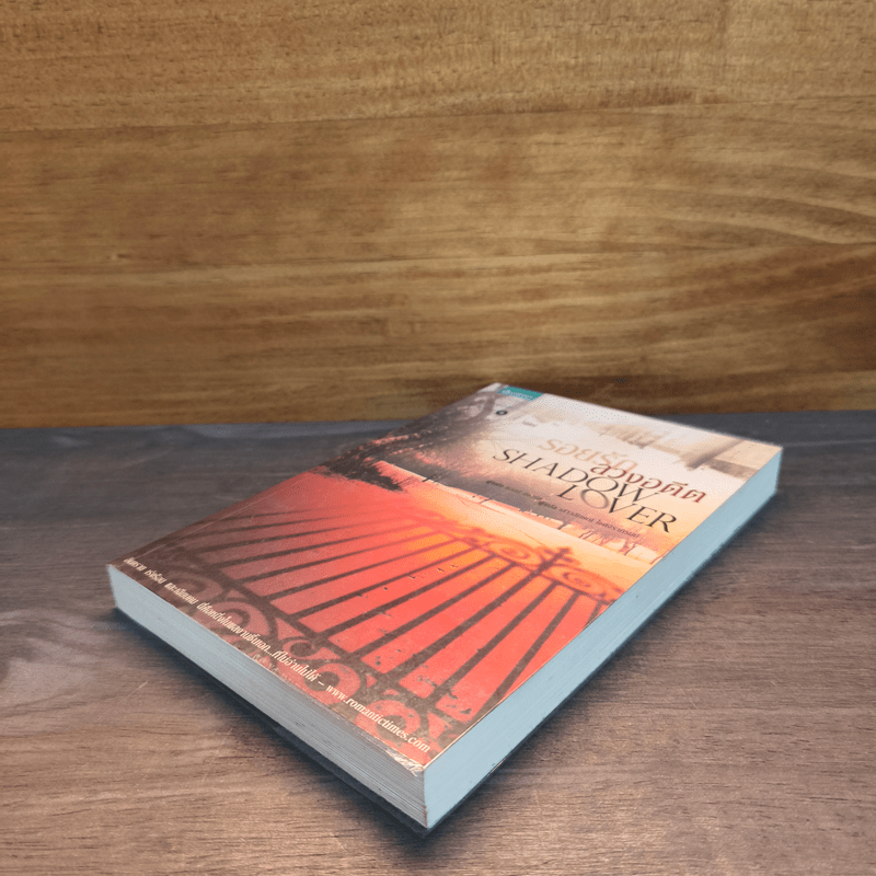 SHADOW LOVER รอยรักลวงอดีต - แอนน์ สจ๊วร์ต