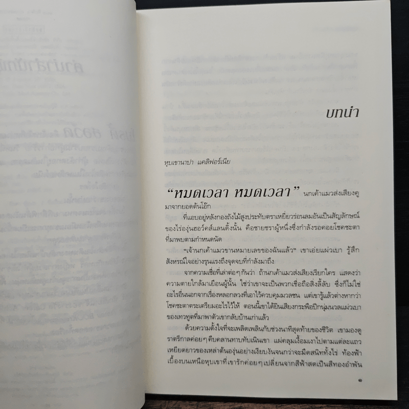 หลงเงา Trust No One - แมรีล ซอว์เยอร์