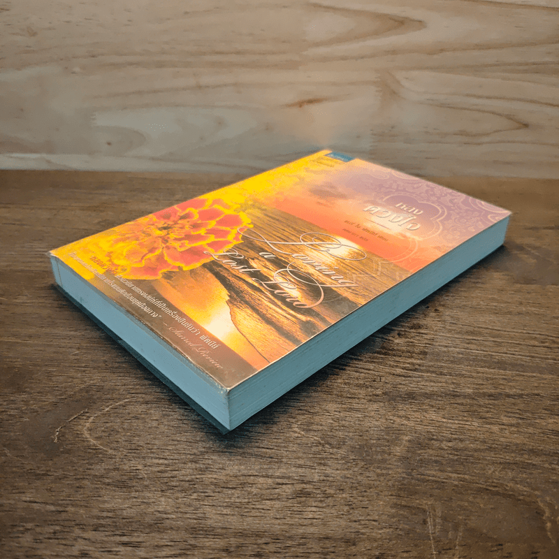 หลงดวงใจ - แมรี่ โจ พัตนีย์