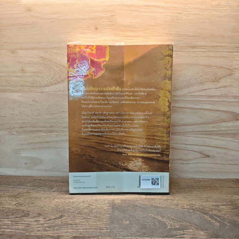 หลงดวงใจ - แมรี่ โจ พัตนีย์