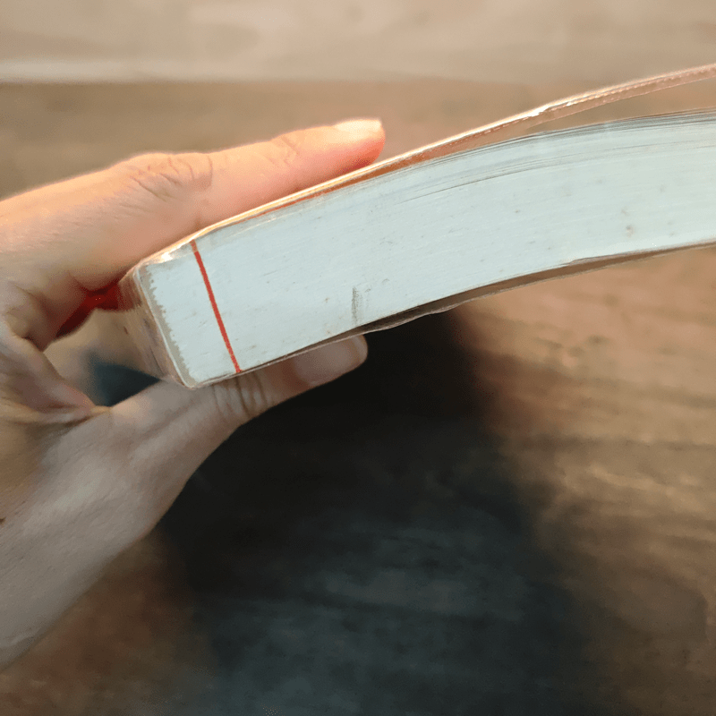 หลงดวงใจ - แมรี่ โจ พัตนีย์