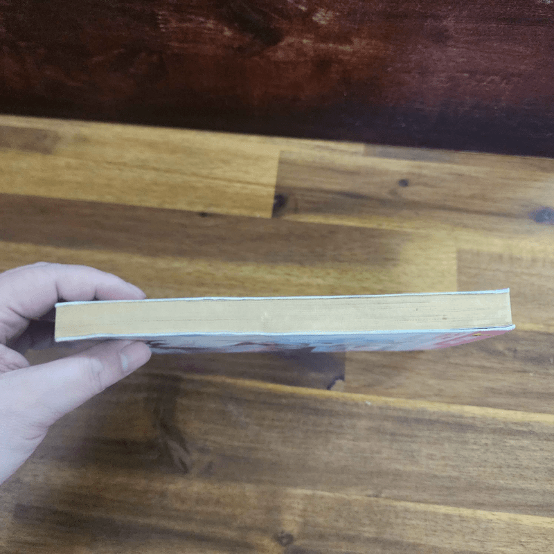 Dears อลวนรักจากฟากฟ้า Official Comic Fan-Book (ปกมีคราบน้ำเล็กน้อย)