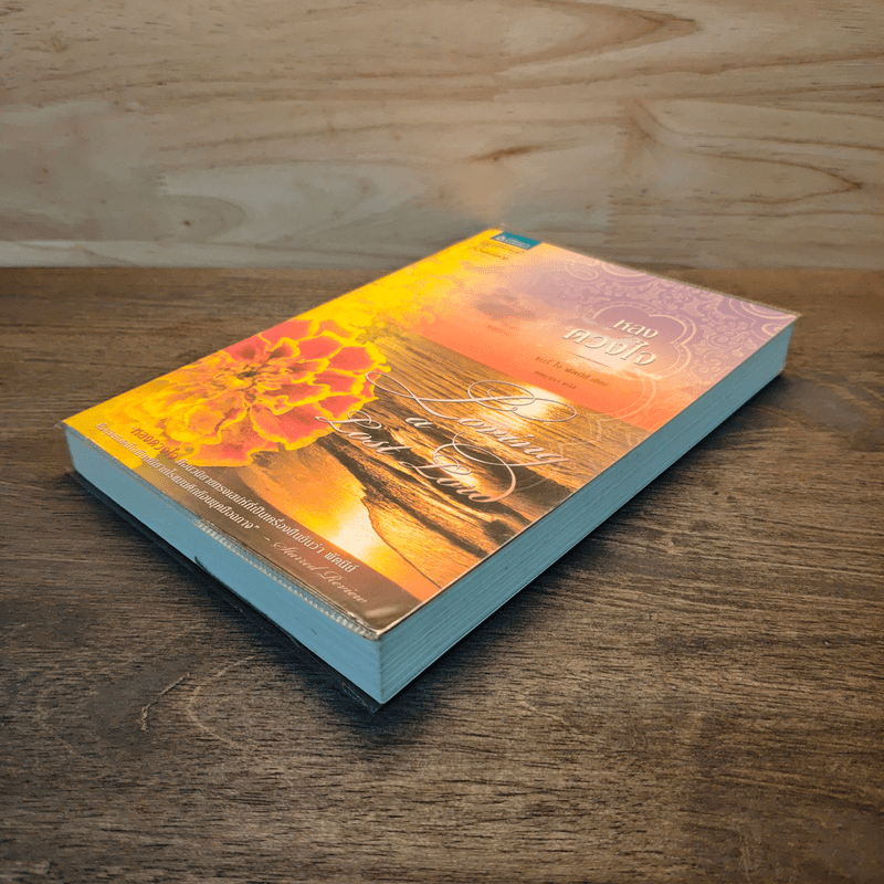 หลงดวงใจ - แมรี่ โจ พัตนีย์