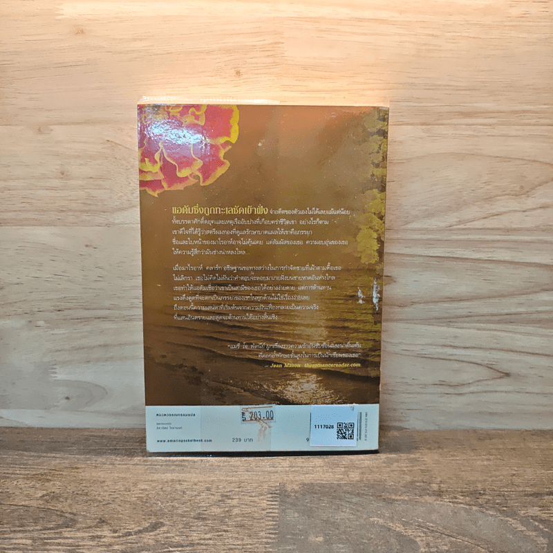 หลงดวงใจ - แมรี่ โจ พัตนีย์