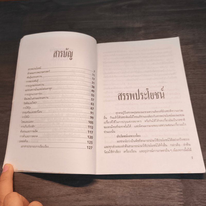 คู่มือมะขามหวาน