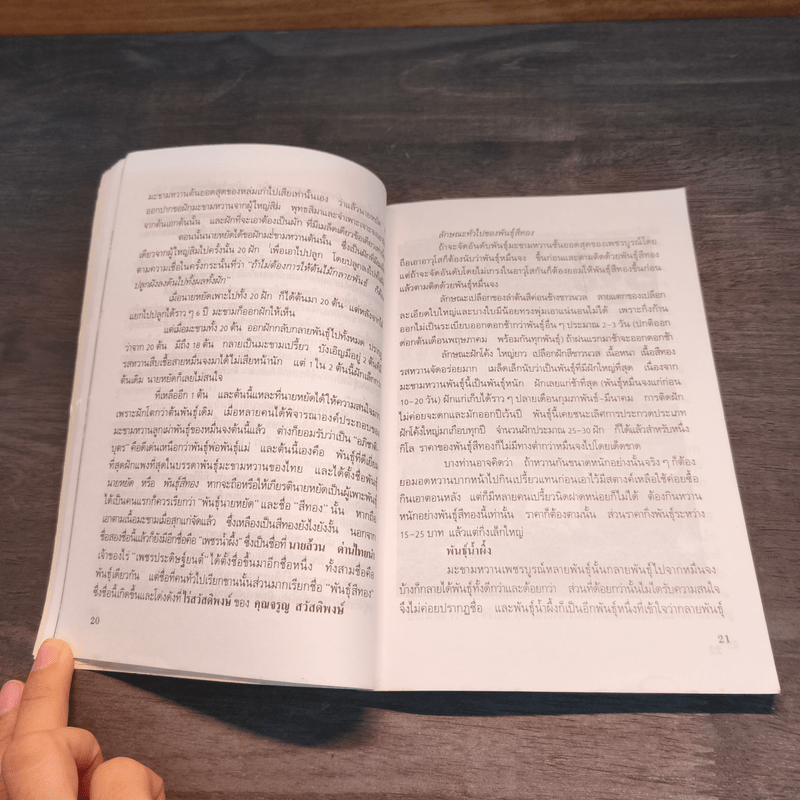 คู่มือมะขามหวาน