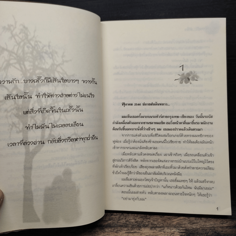 สะบายดีหัวใจ - ชอนตะวัน