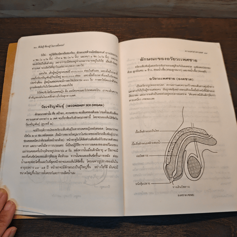 สิ่งไม่รู้ที่ึึึึควรรู่ในการตั้งครรภ์