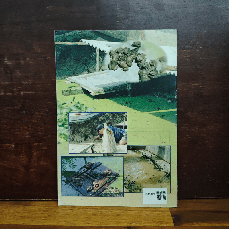 การเลี้ยงกบ - กรมประมง