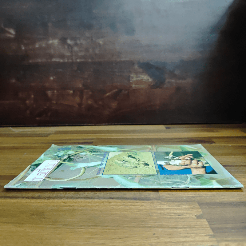 การเลี้ยงกบ - กรมประมง