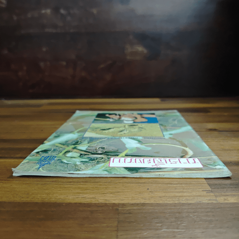 การเลี้ยงกบ - กรมประมง