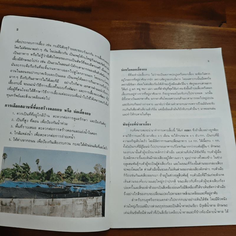 การเลี้ยงกบ - กรมประมง