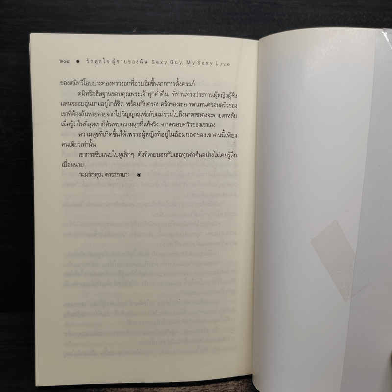 รักสุดใจผู้ชายของฉัน - ณารา