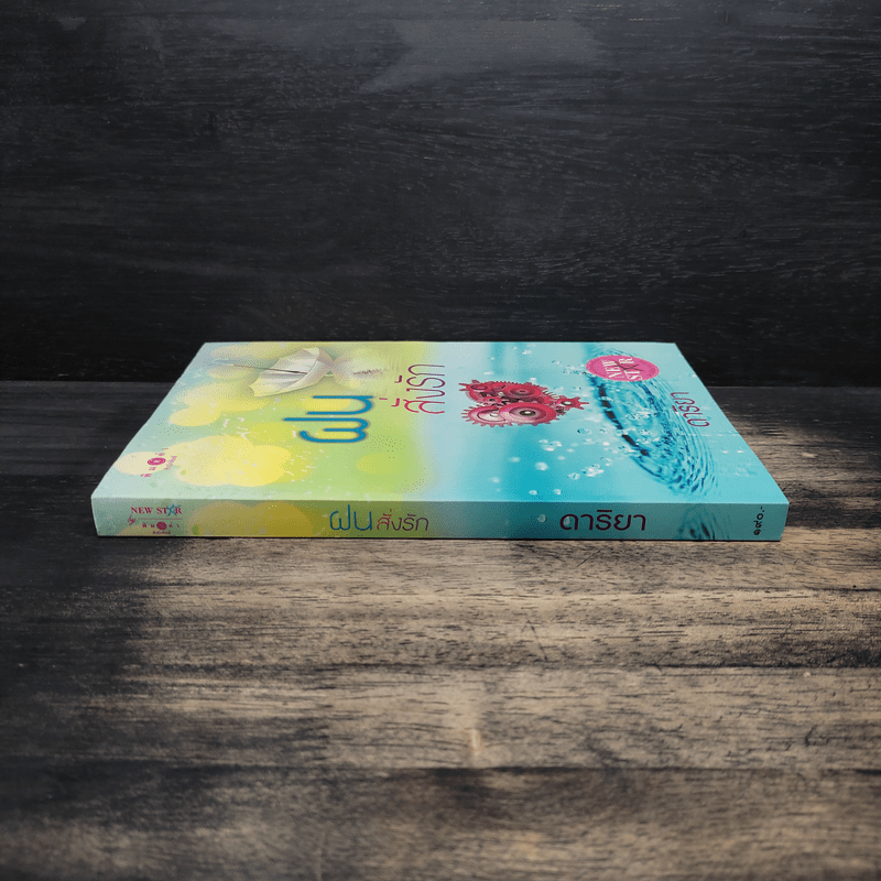 ฝนสั่งรัก - ดาริยา