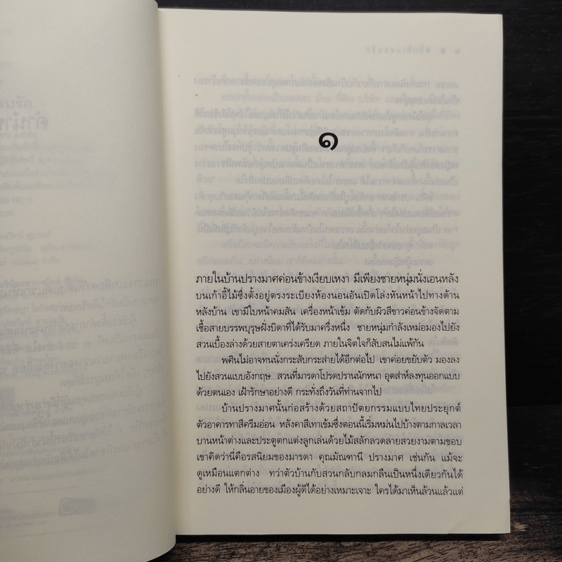 พลิกร้ายตลบรัก - ธารใส