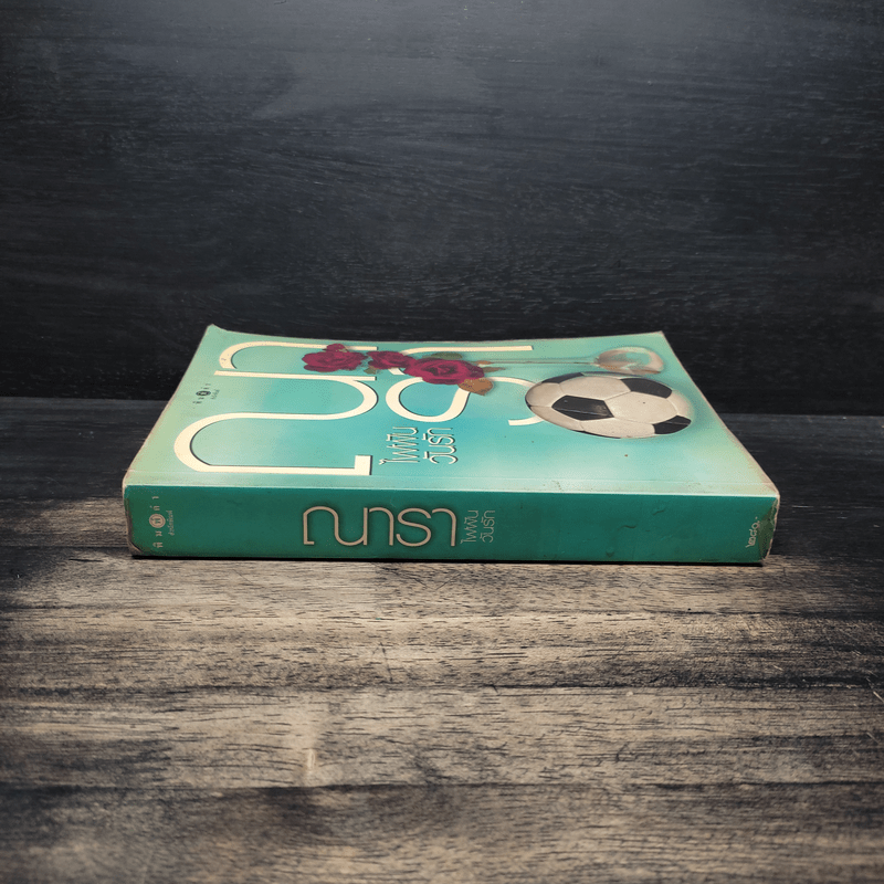 ไฟฝันวันรัก - ณารา