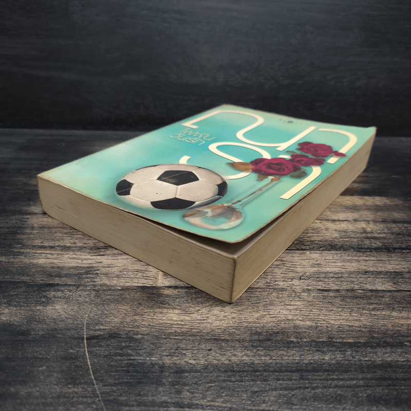 ไฟฝันวันรัก - ณารา