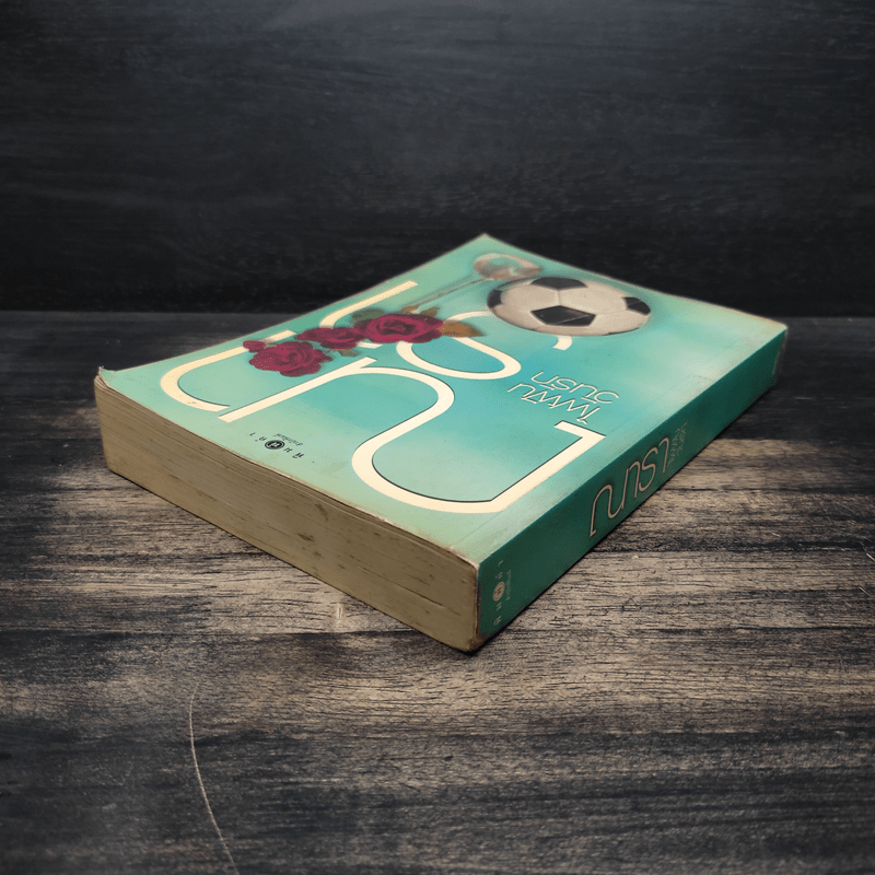 ไฟฝันวันรัก - ณารา