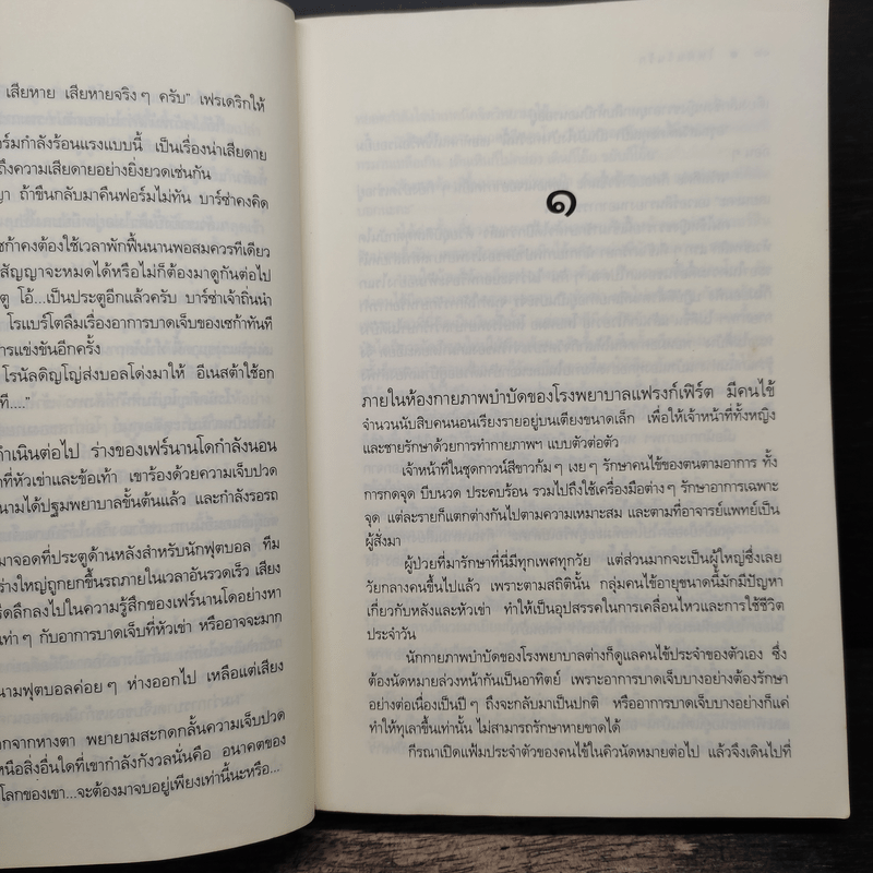 ไฟฝันวันรัก - ณารา