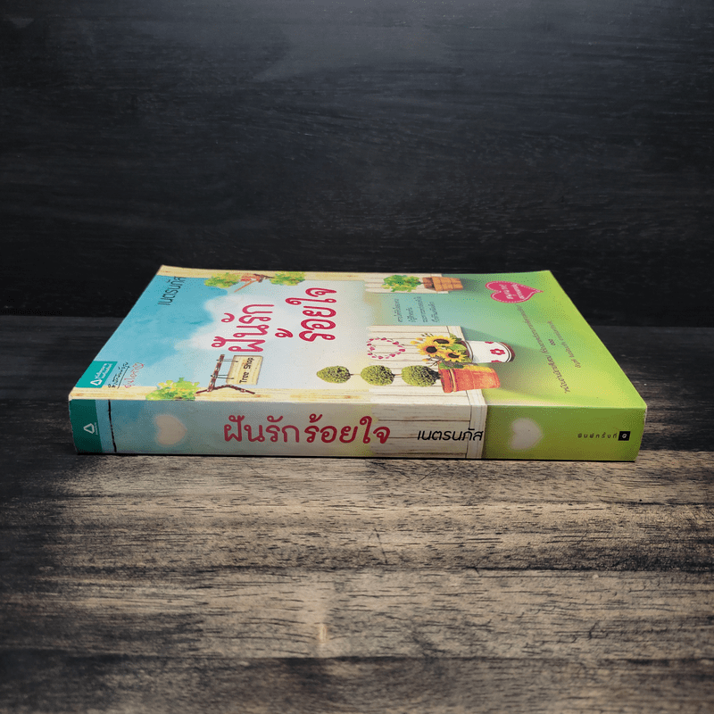 ฝันรักร้อยใจ - เนตรนภัส