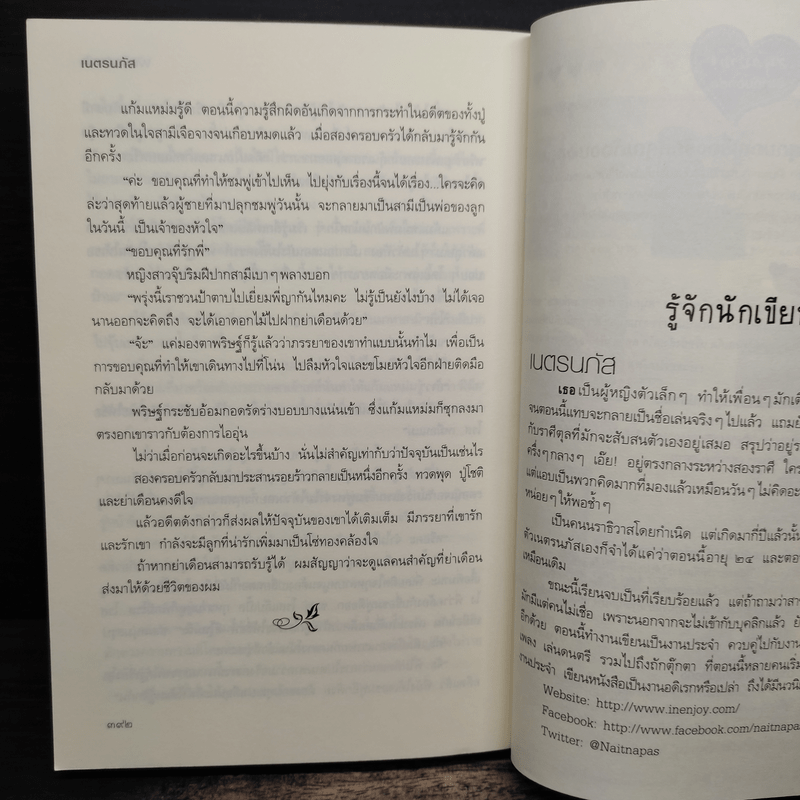 ฝันรักร้อยใจ - เนตรนภัส