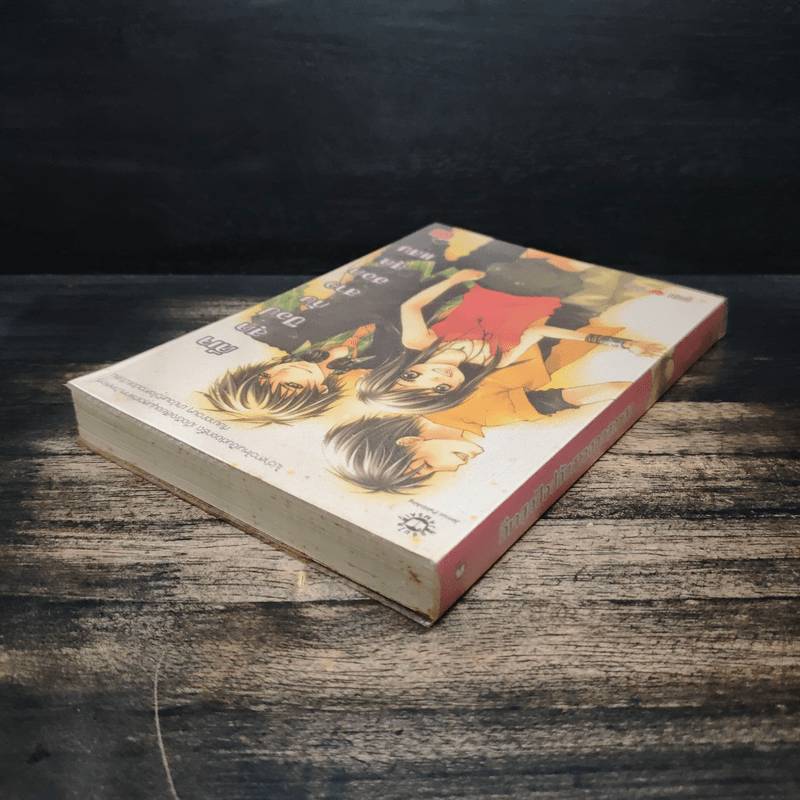 ดีเจสุดป็อปกับสาวฮอตสุดแสบ - ลูกชุบ