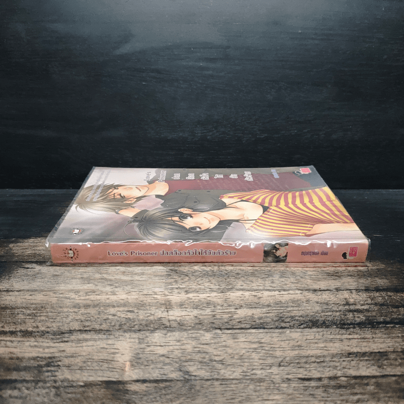 Love's Prisoner ปลดล็อกหัวใจให้ยัยตัวร้าย - หนุ่มกรุงโซล
