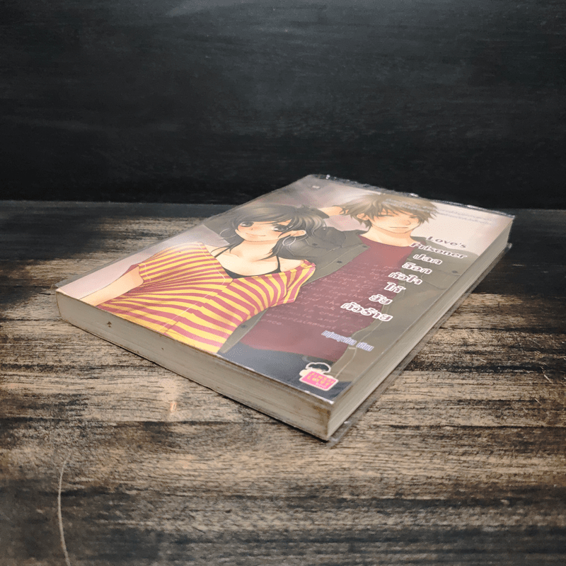 Love's Prisoner ปลดล็อกหัวใจให้ยัยตัวร้าย - หนุ่มกรุงโซล