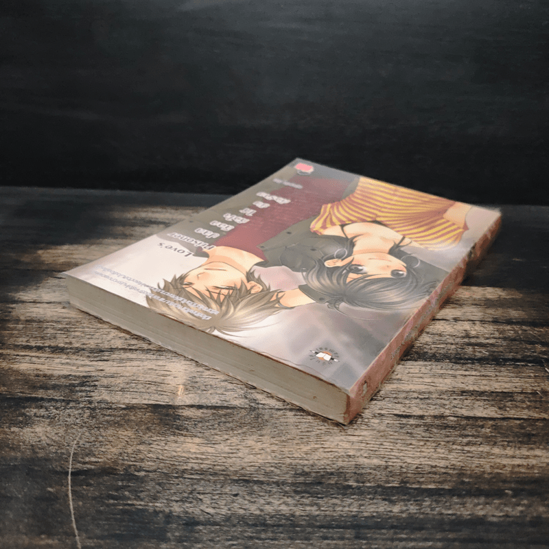 Love's Prisoner ปลดล็อกหัวใจให้ยัยตัวร้าย - หนุ่มกรุงโซล