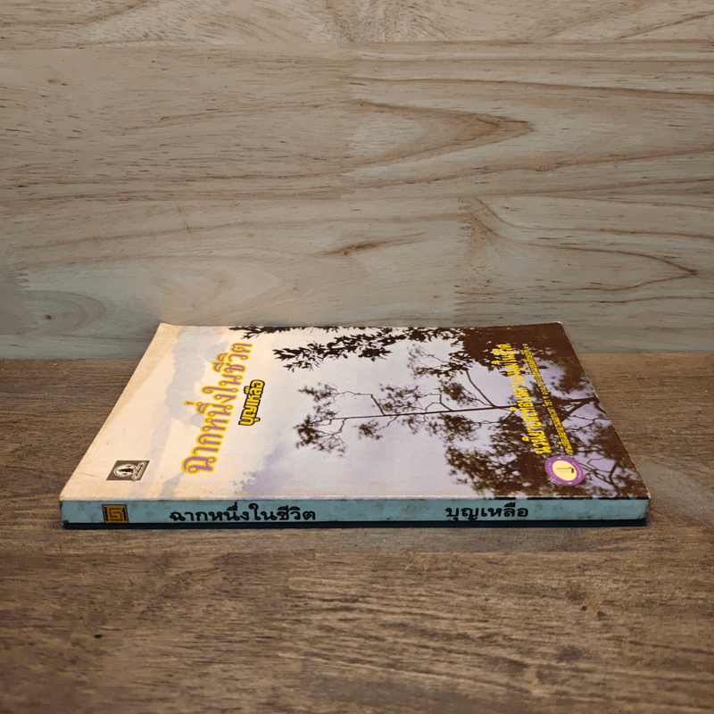 ฉากหนึ่งในชีวิต - บุญเหลือ