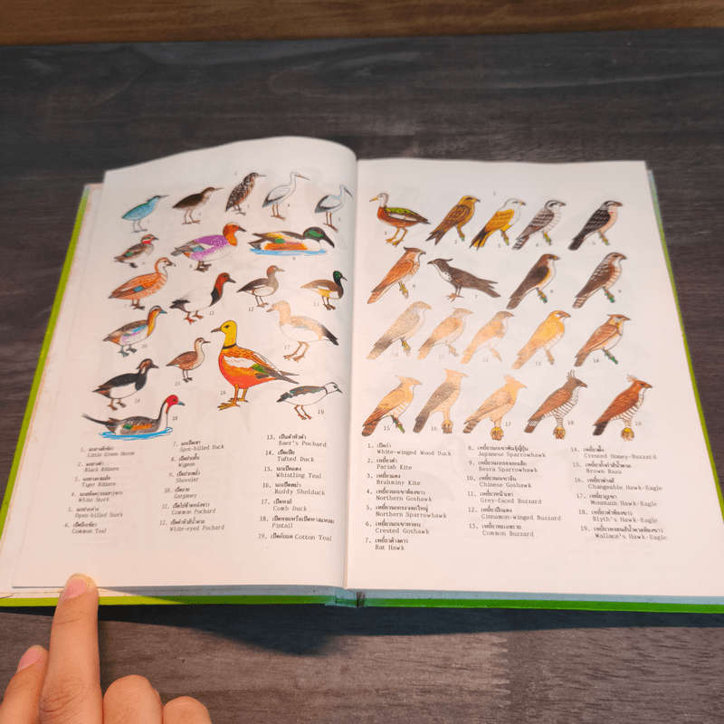 นกในเมืองไทย - ดร.วิทย์ เที่ยงบูรณธรรม