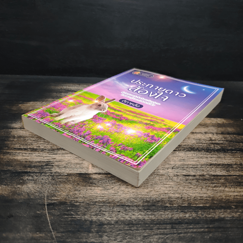 ประกายดาวส่องใจ - ติกาหลัง