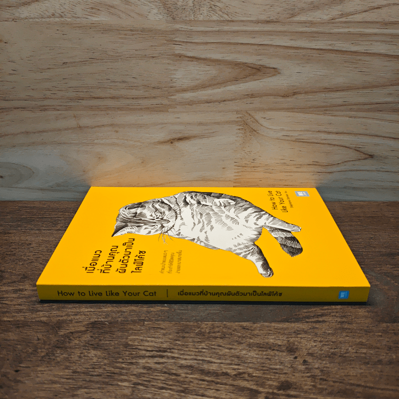 เมื่อแมวที่บ้านคุณผันตัวมาเป็นไลฟ์โค้ช - Stephane Garnier